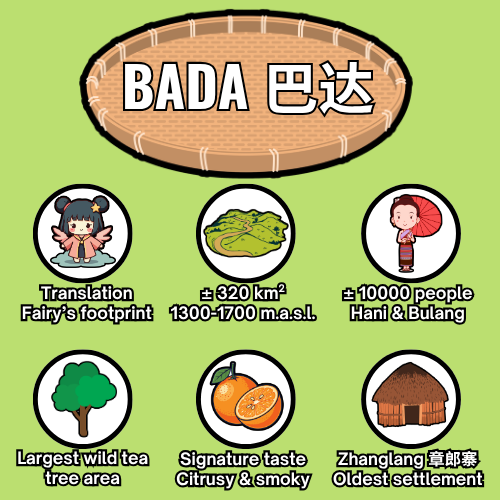 Bada - overview - EN